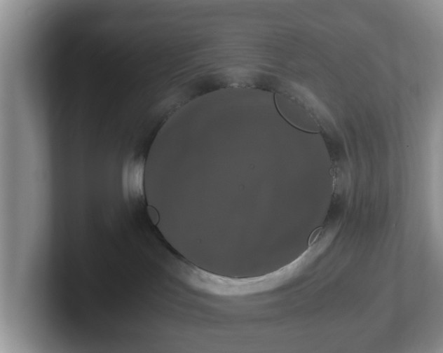 X0000102480047200808151459