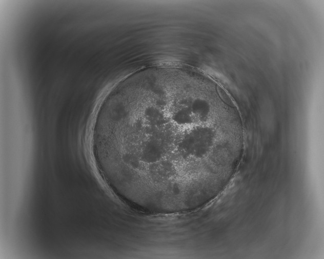 X0000102480049200808151458