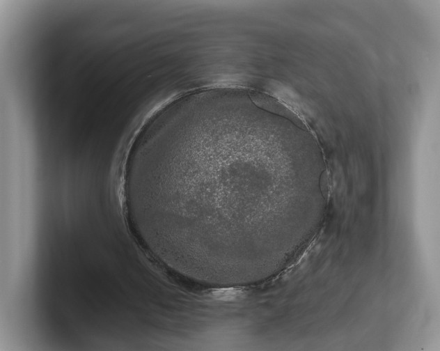 X0000102480050200808151458