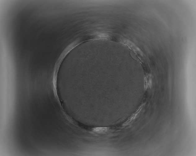 X0000102480051200808151458