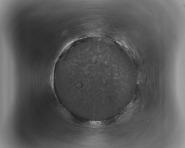 X0000102480052200808151458