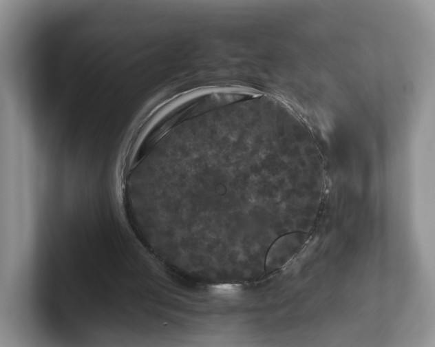 X0000102480053200808151458