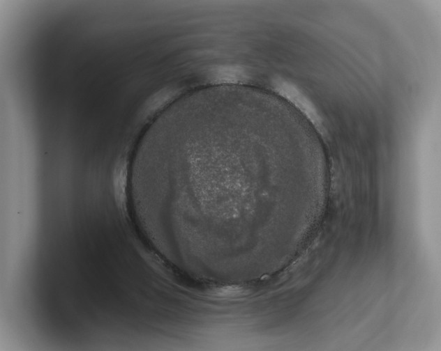 X0000102480058200808151458