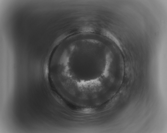 X0000102480059200808151458