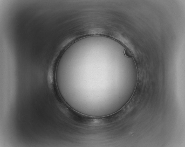 X0000102480060200808151458