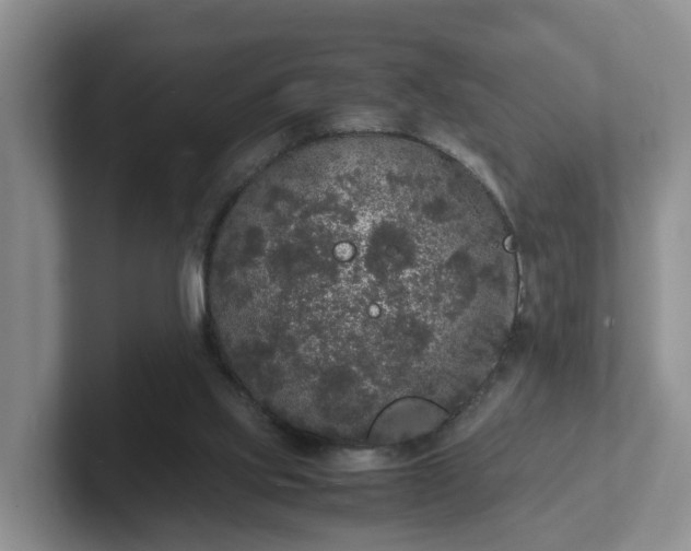 X0000102480061200808151458