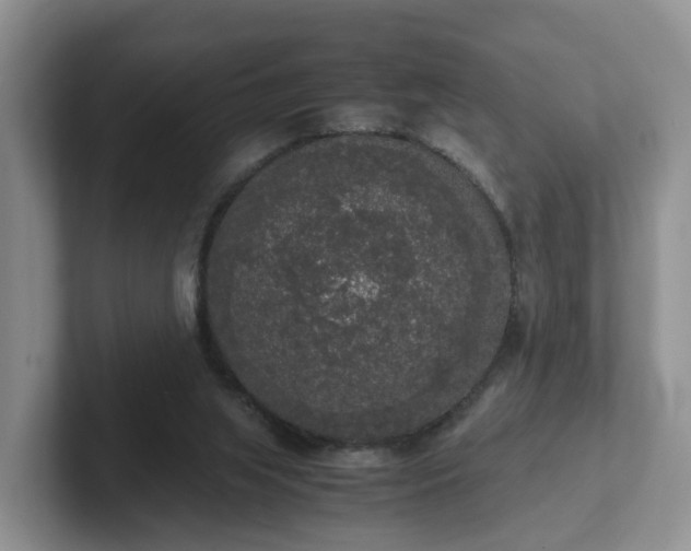 X0000102480063200808151459