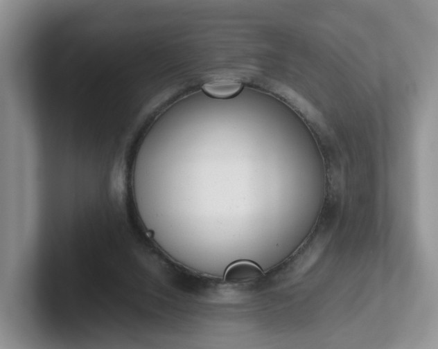 X0000102480064200808151459