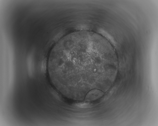 X0000102480065200808151459