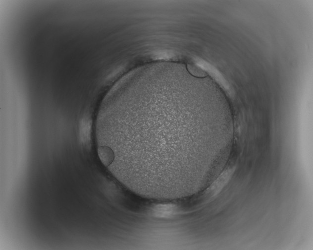 X0000102480066200808151459