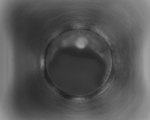 X0000102480067200808151459