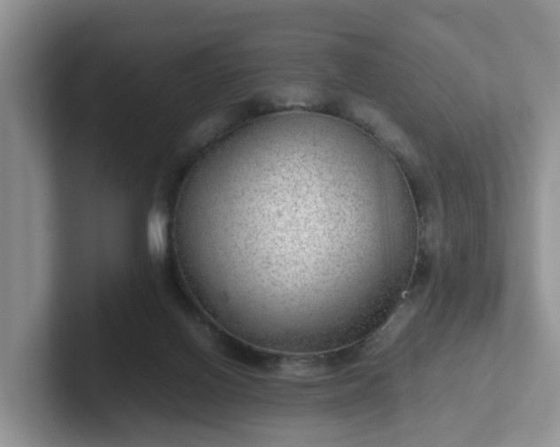 X0000102480070200808151459