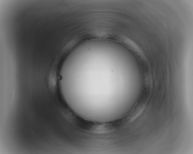 X0000102480072200808151459