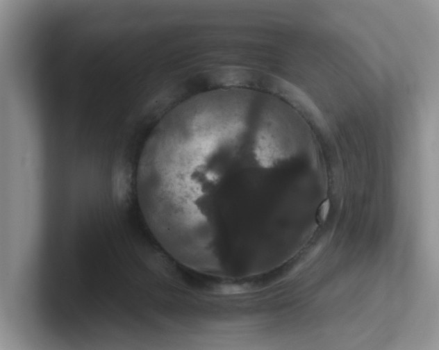 X0000102480073200808151459