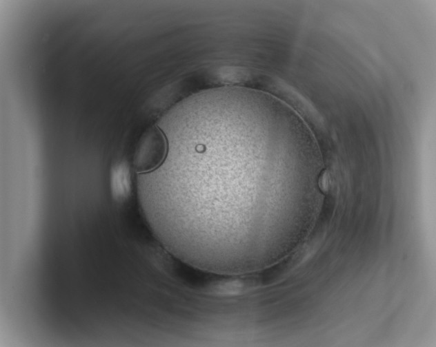 X0000102480075200808151459