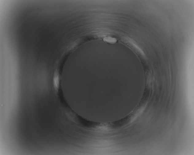 X0000102480076200808151459