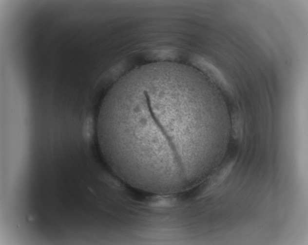 X0000102480077200808151459