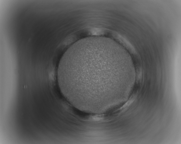 X0000102480078200808151459