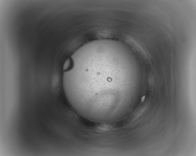 X0000102480079200808151459