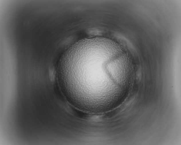 X0000102480081200808151459