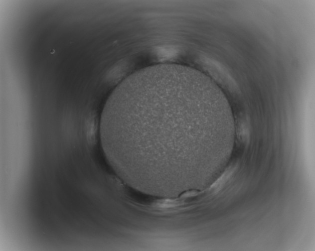 X0000102480082200808151459