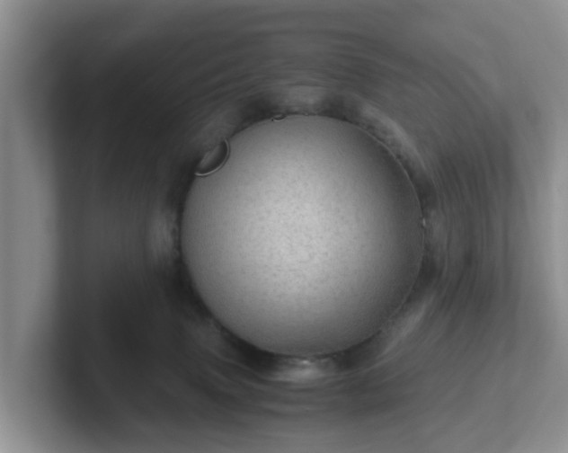 X0000102480083200808151459