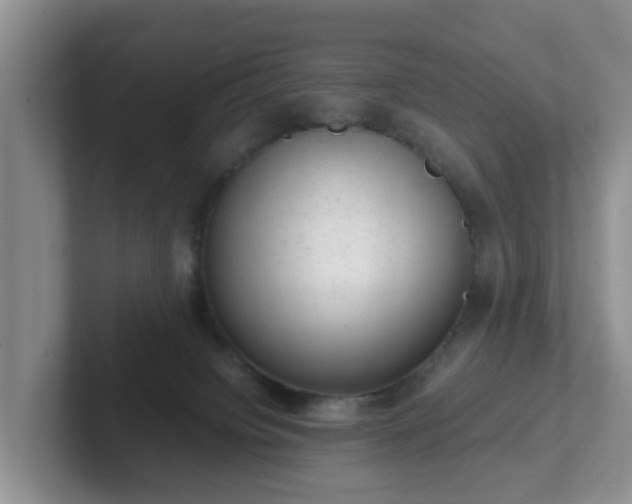 X0000102480084200808151459