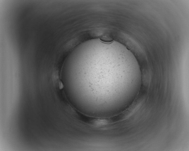 X0000102480085200808151459