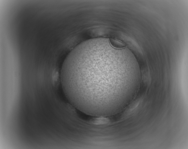 X0000102480087200808151459