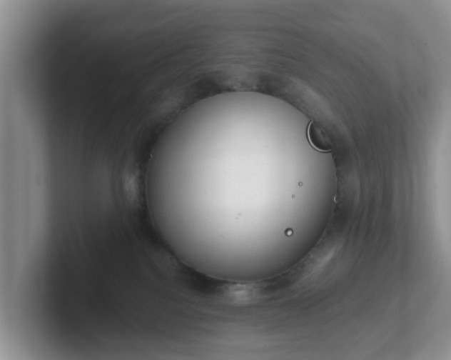 X0000102480088200808151459