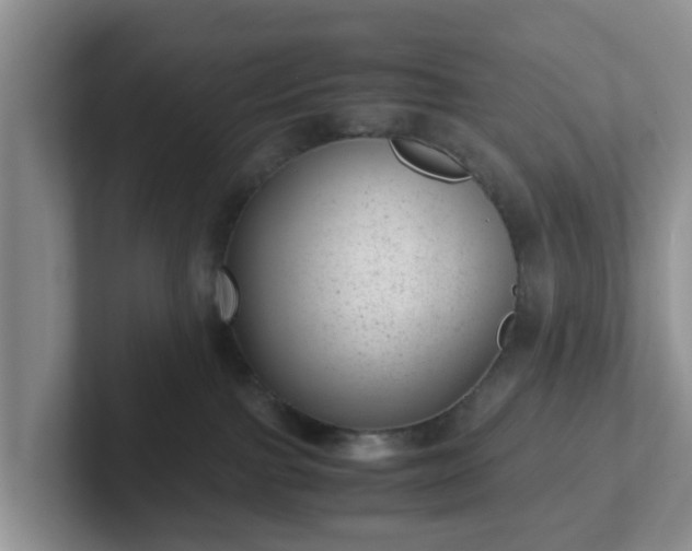 X0000102480091200808151459