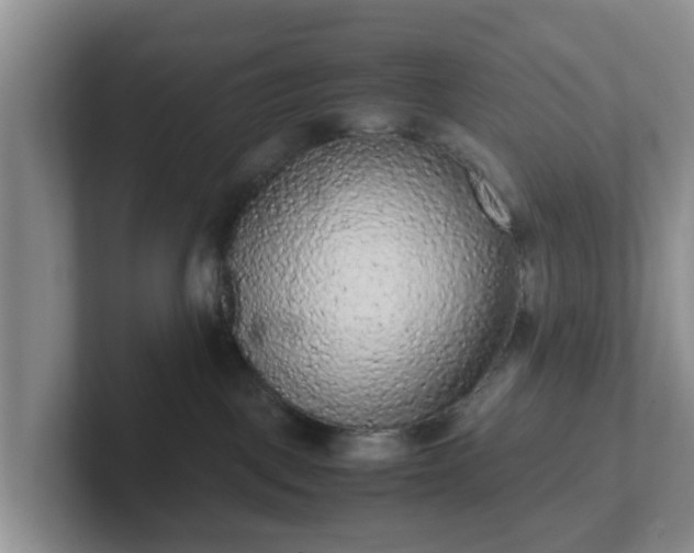 X0000102480093200808151459