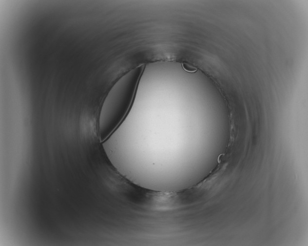 X0000102480096200808151459