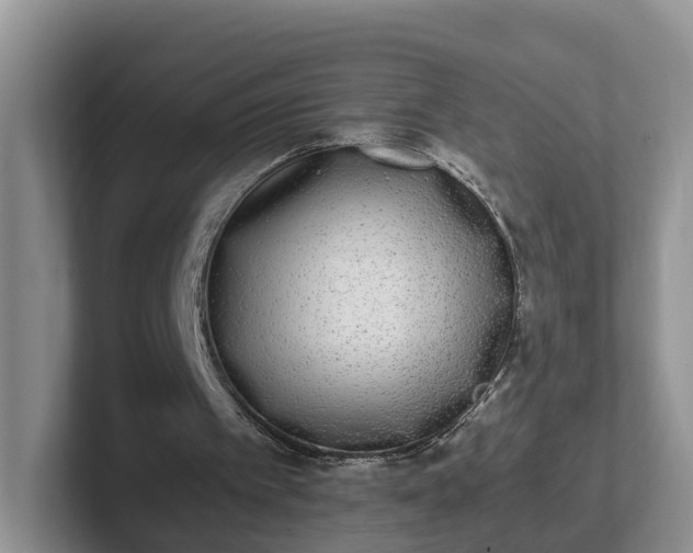 X0000102480097200808151458