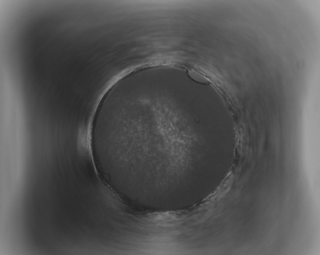 X0000102480100200808151458