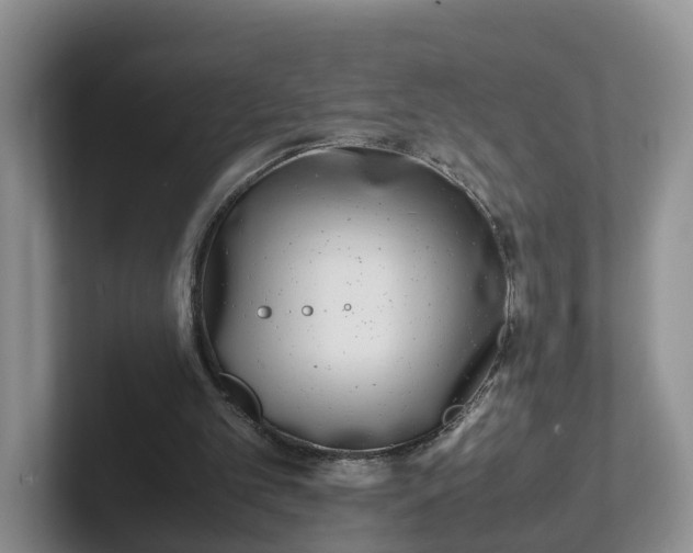 X0000102480101200808151458