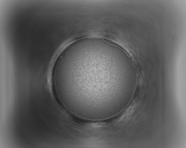 X0000102480103200808151458