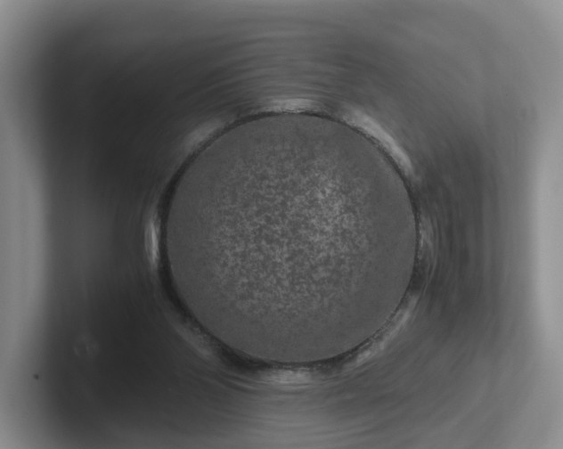 X0000102480110200808151458