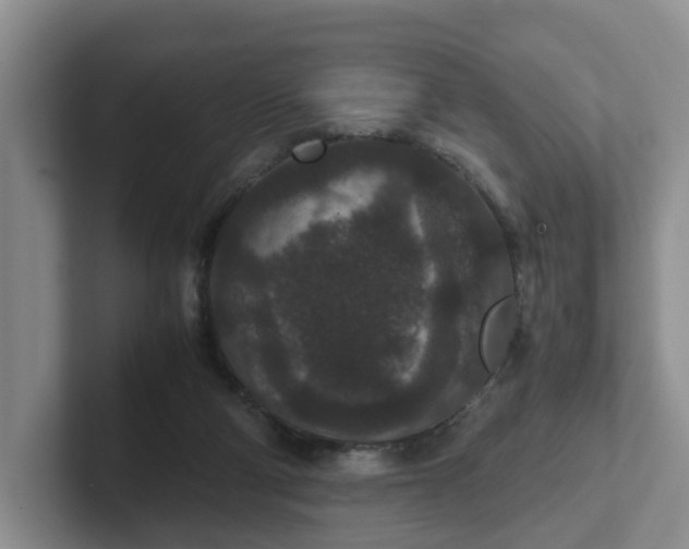 X0000102480114200808151458