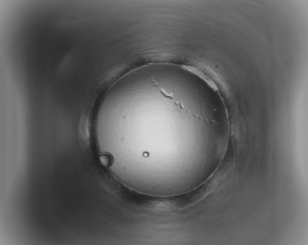 X0000102480115200808151458