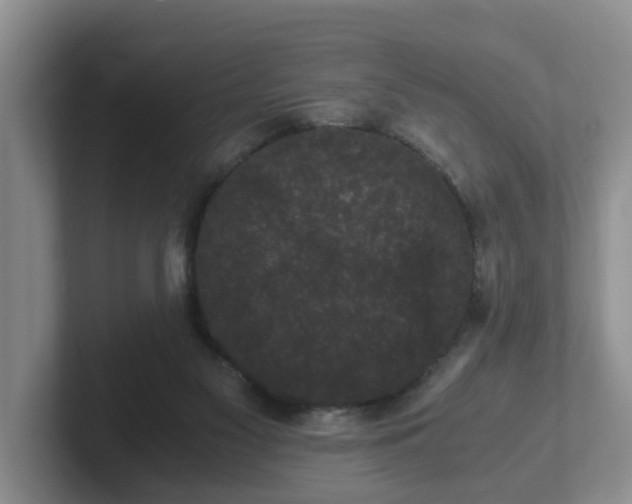 X0000102480117200808151458