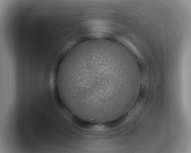 X0000102480119200808151458