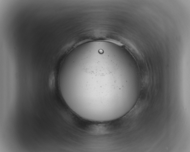 X0000102480120200808151458