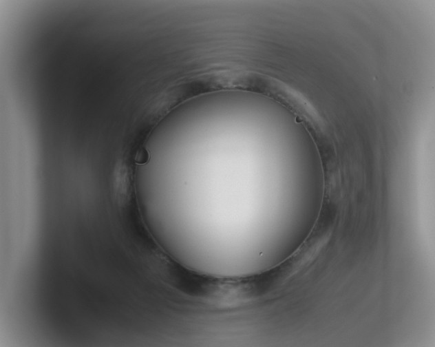 X0000102480121200808151458