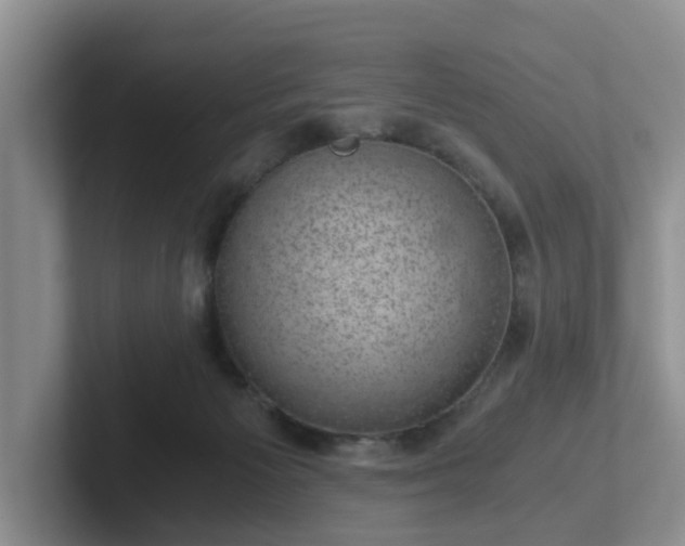 X0000102480125200808151458