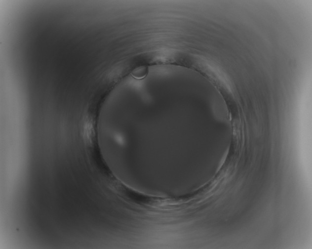 X0000102480127200808151458