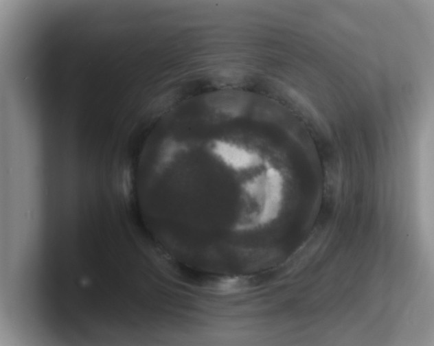 X0000102480130200808151458