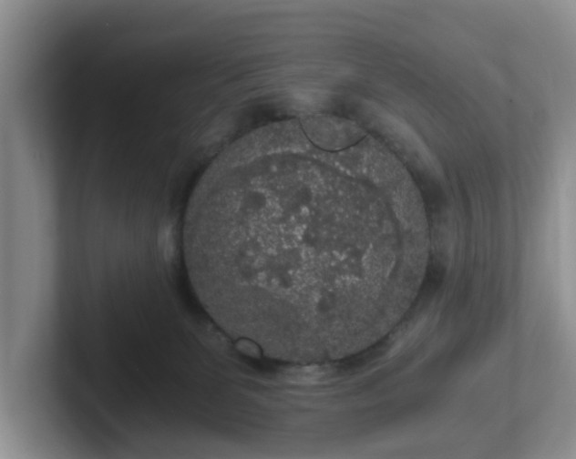 X0000102480131200808151458