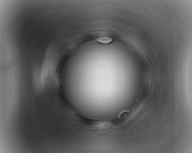 X0000102480135200808151458