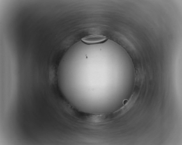 X0000102480136200808151458